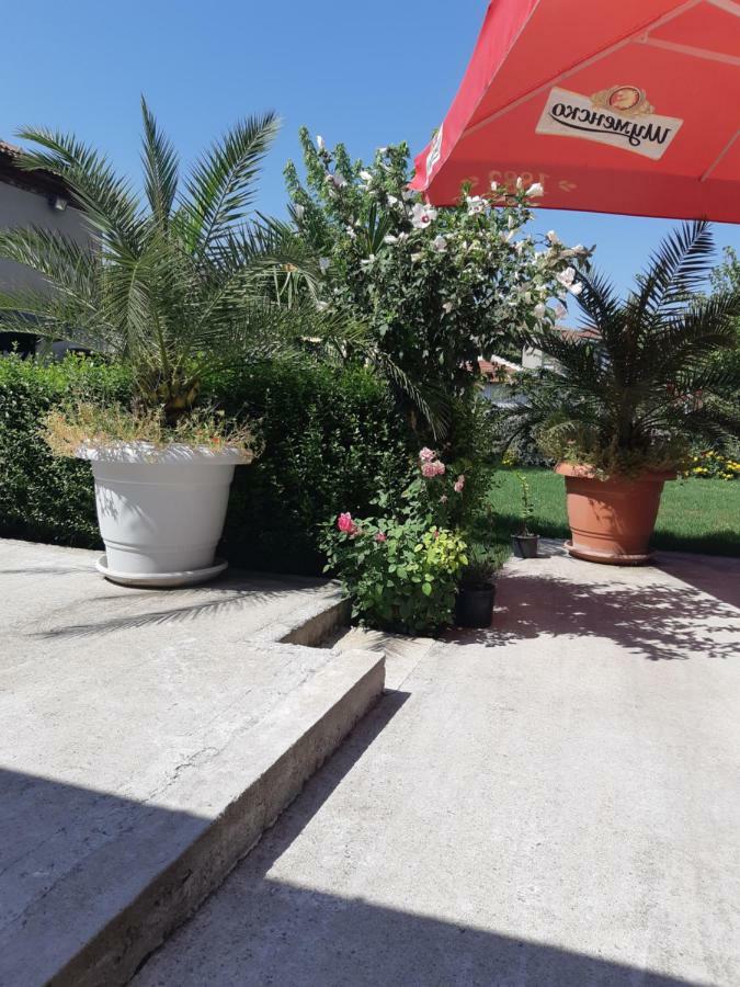 Villa Ros Guest House Свиленград Экстерьер фото